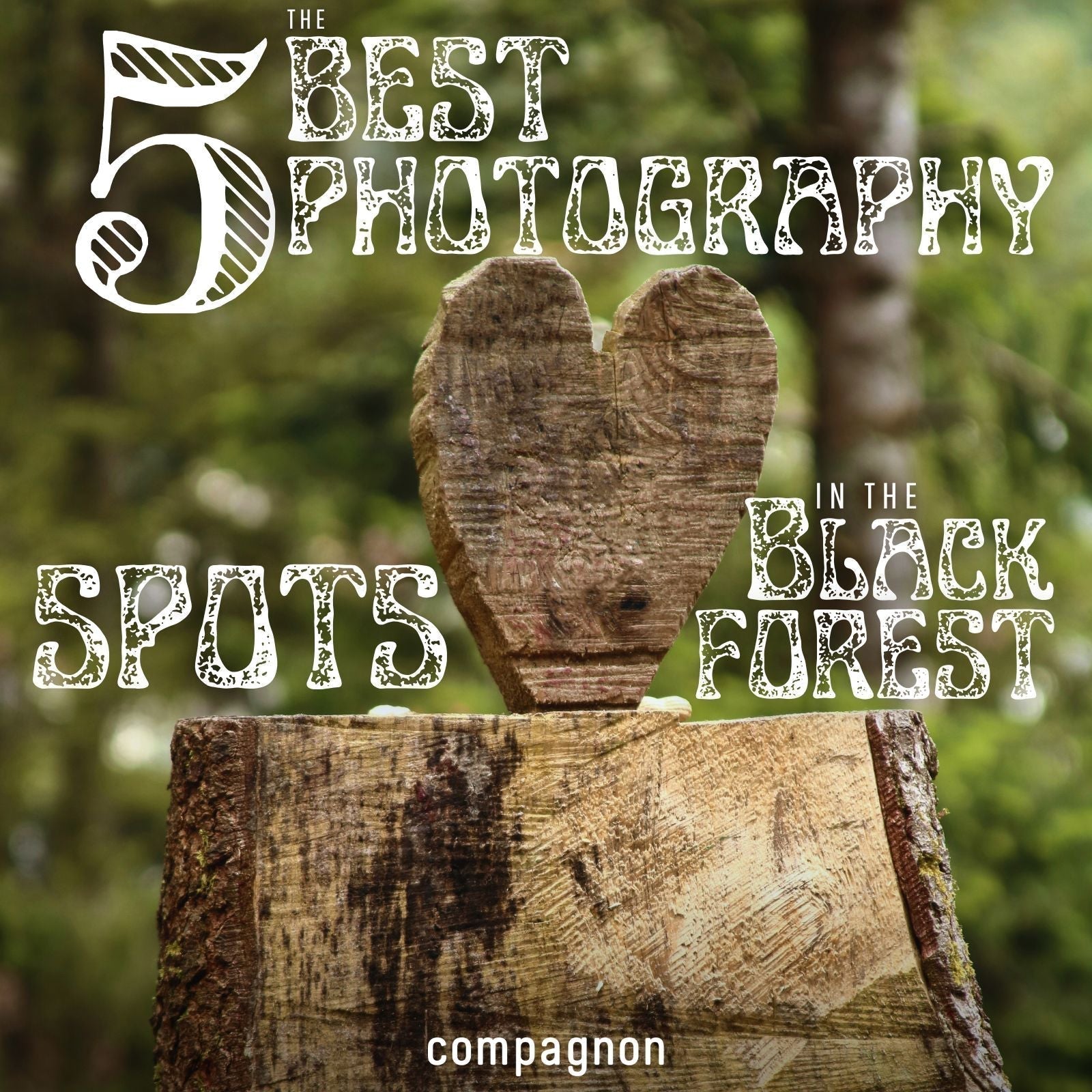 Die besten Fotospots im Schwarzwald
