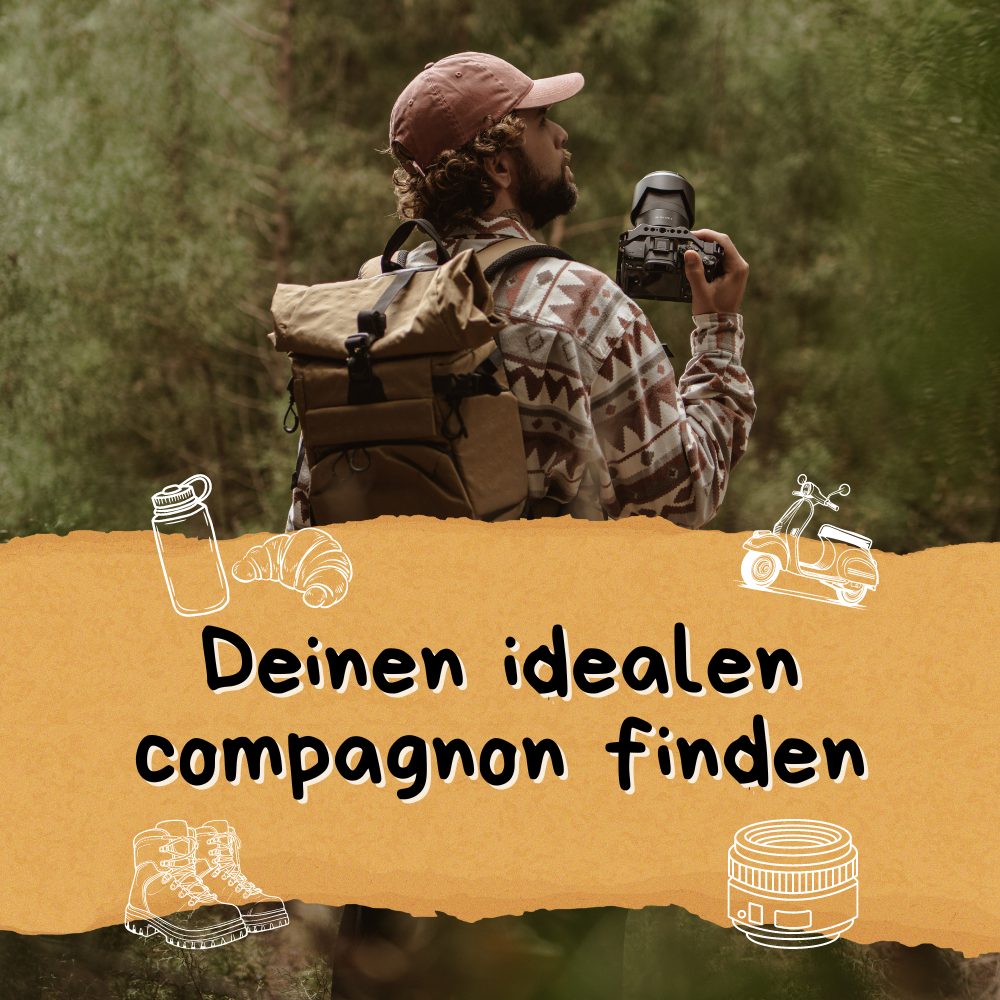 Wie man den perfekten compagnon auswählt